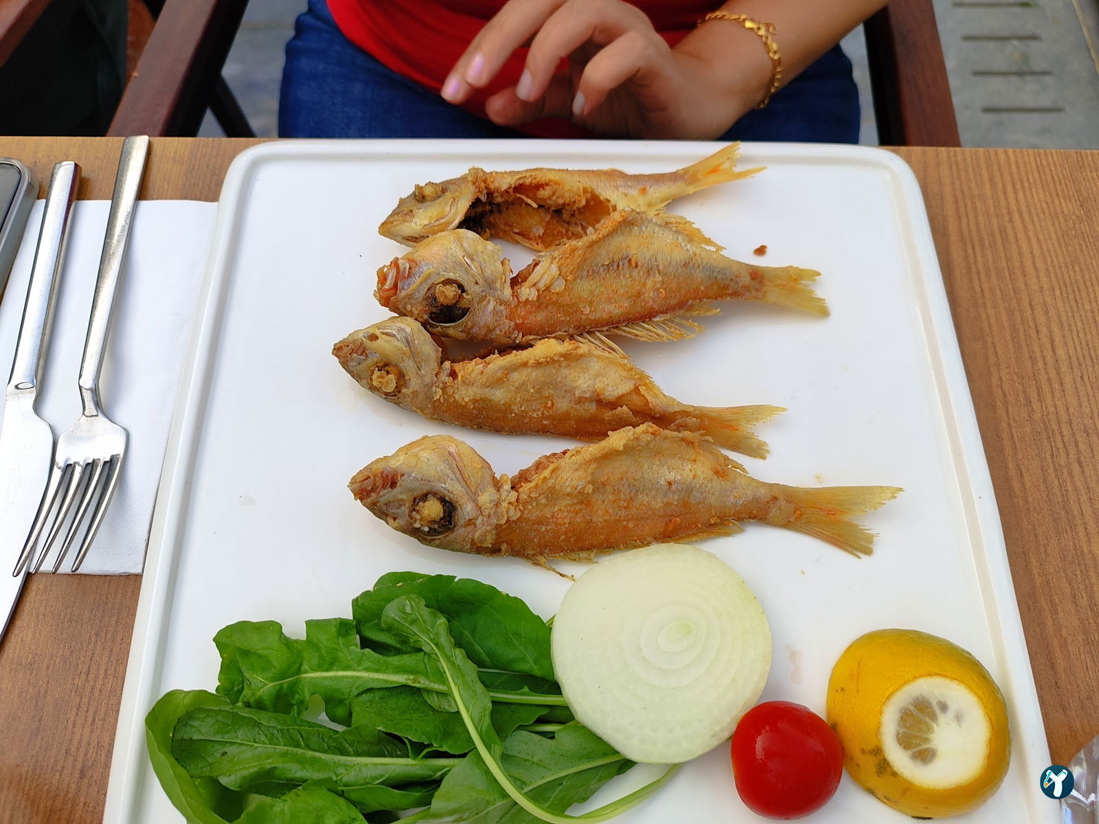 Alara Balık Express