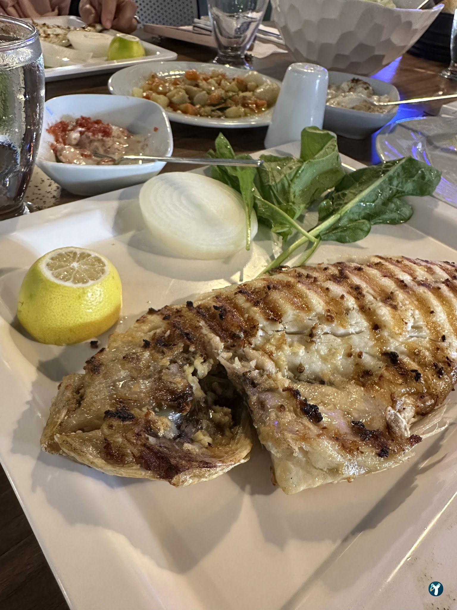 Alara Balık Express