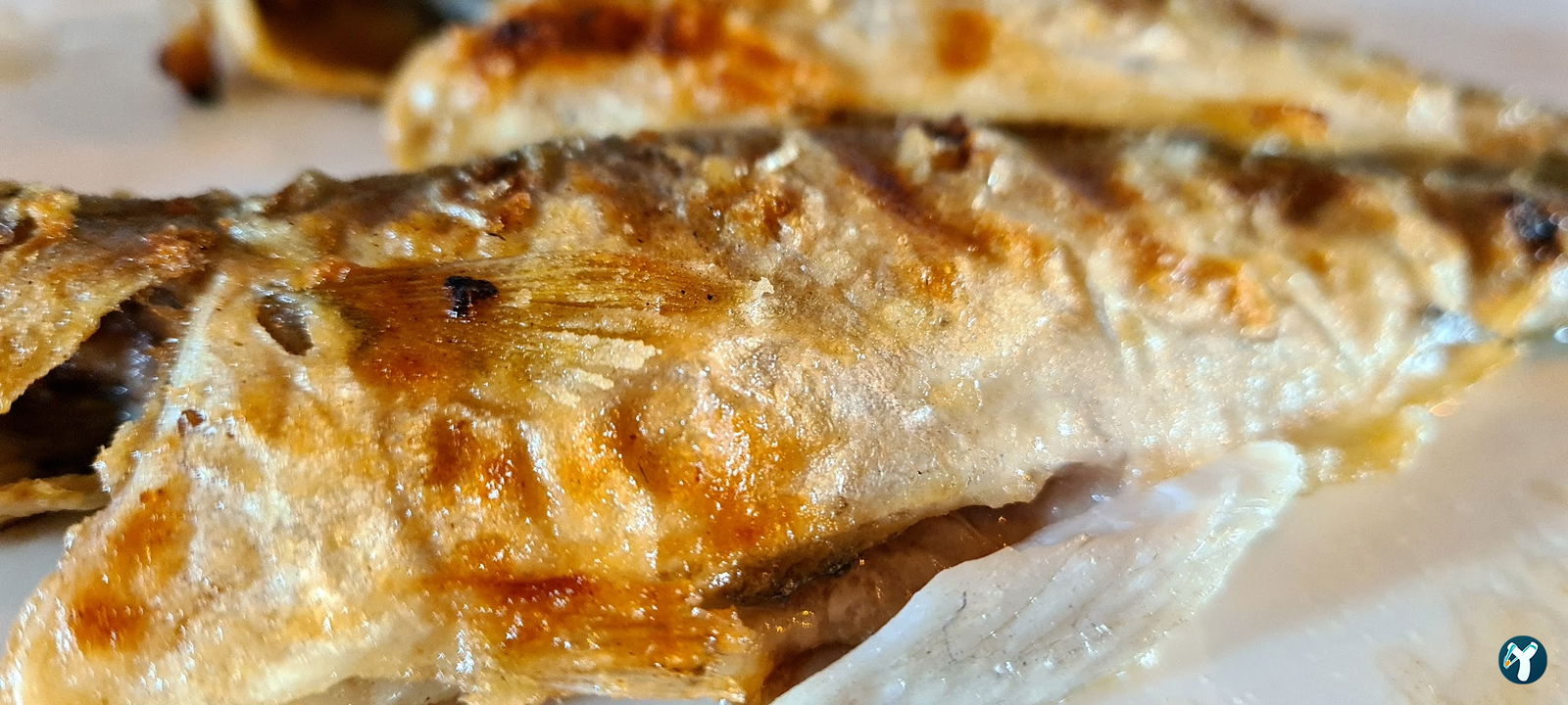 Alara Balık Express