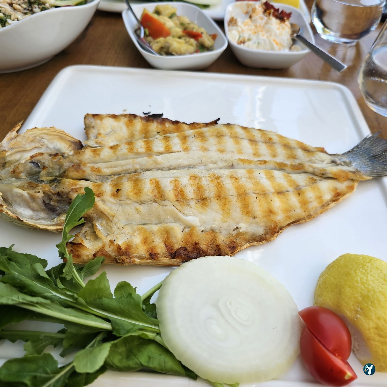 Alara Balık Express