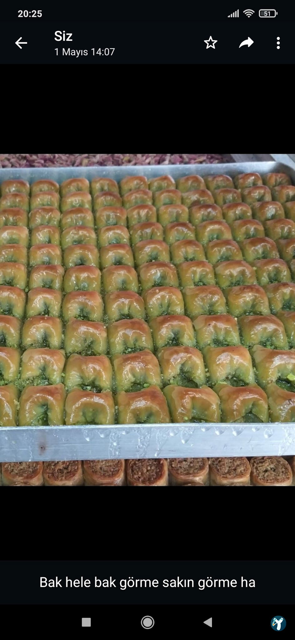 Gaziantep Baklava Yaşar Usta Mecidiye M.H Uzundere