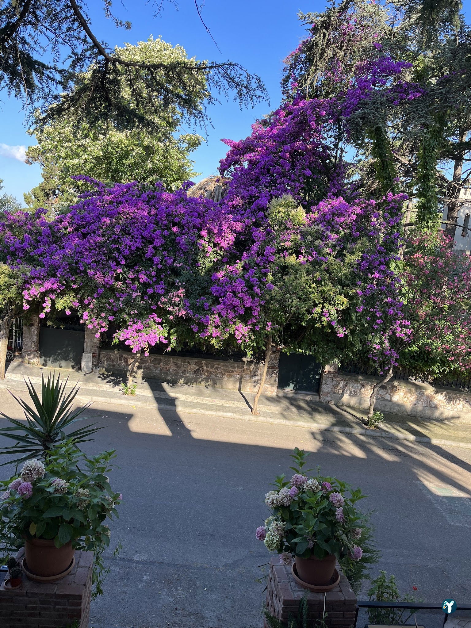 Nizam Butik Otel Büyükada
