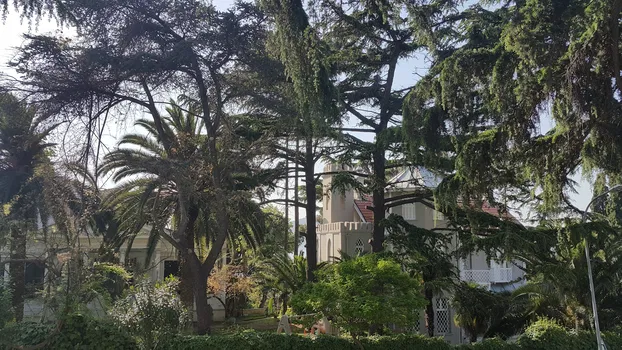 Nizam Butik Otel Büyükada resimleri