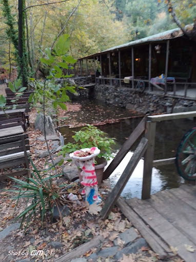 Çam Evleri Restoran