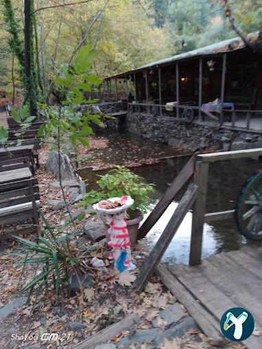 Çam Evleri Restoran