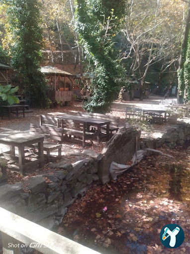 Çam Evleri Restoran
