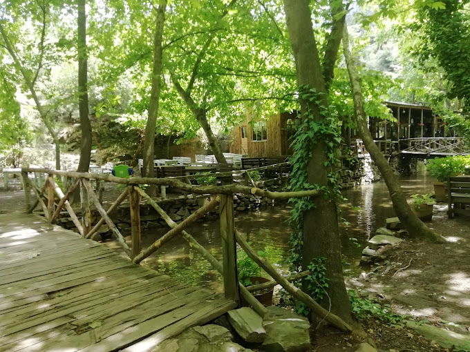 Çam Evleri Restoran