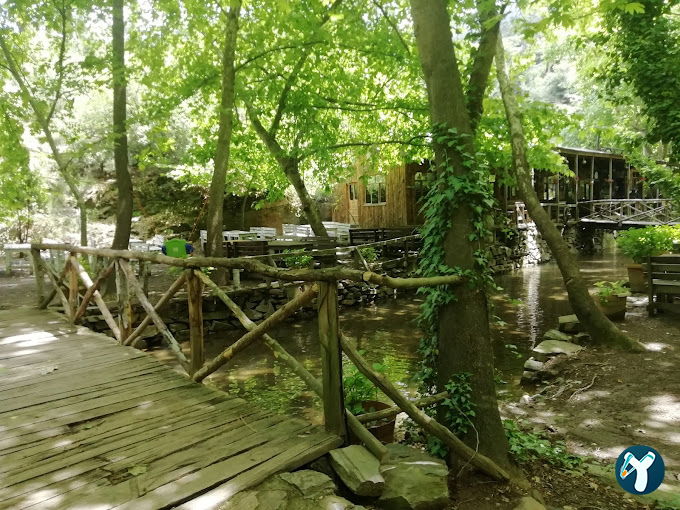 Çam Evleri Restoran