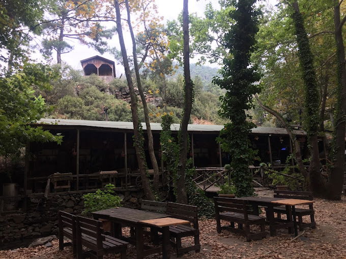Çam Evleri Restoran