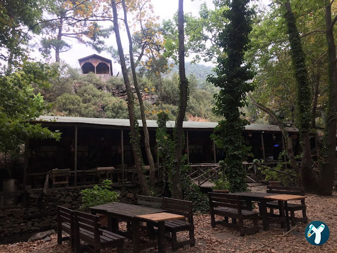 Çam Evleri Restoran