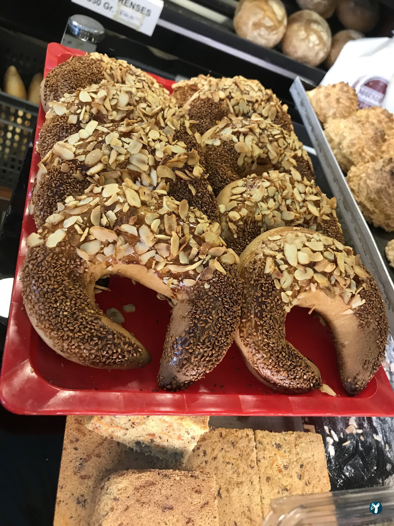 Marmara Börek Cafe