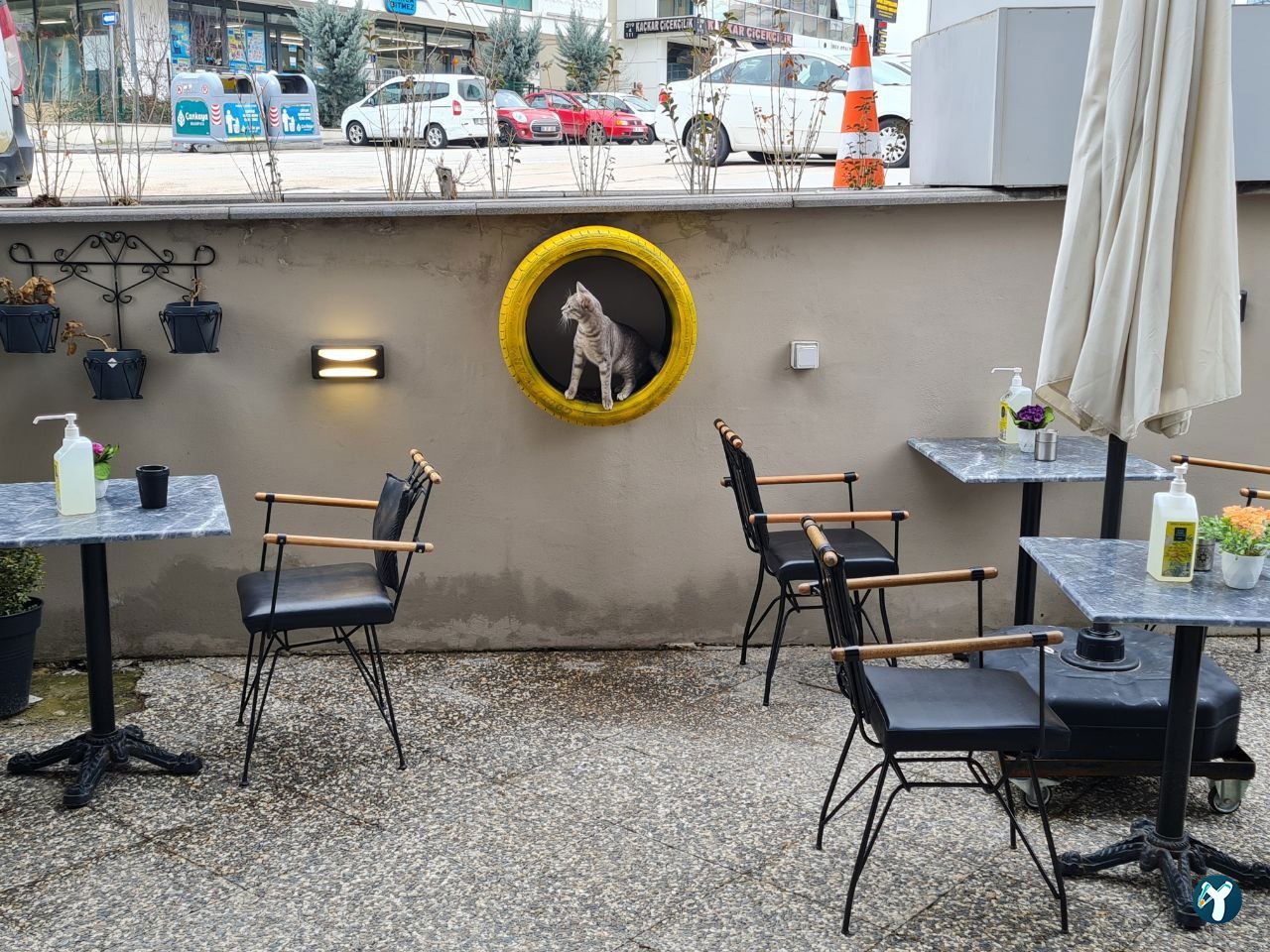 Coffee Parkour