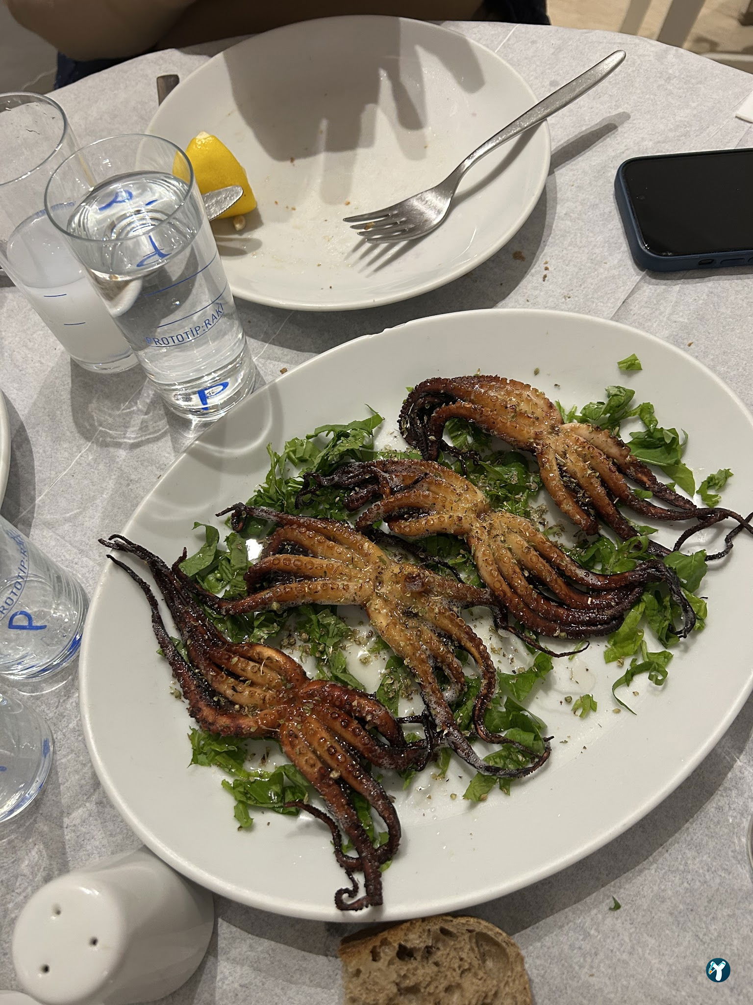 Kalbur Balık