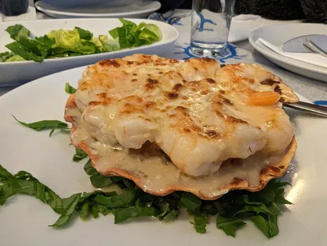 Kalbur Balık resimleri Kalbur Balık resimleri