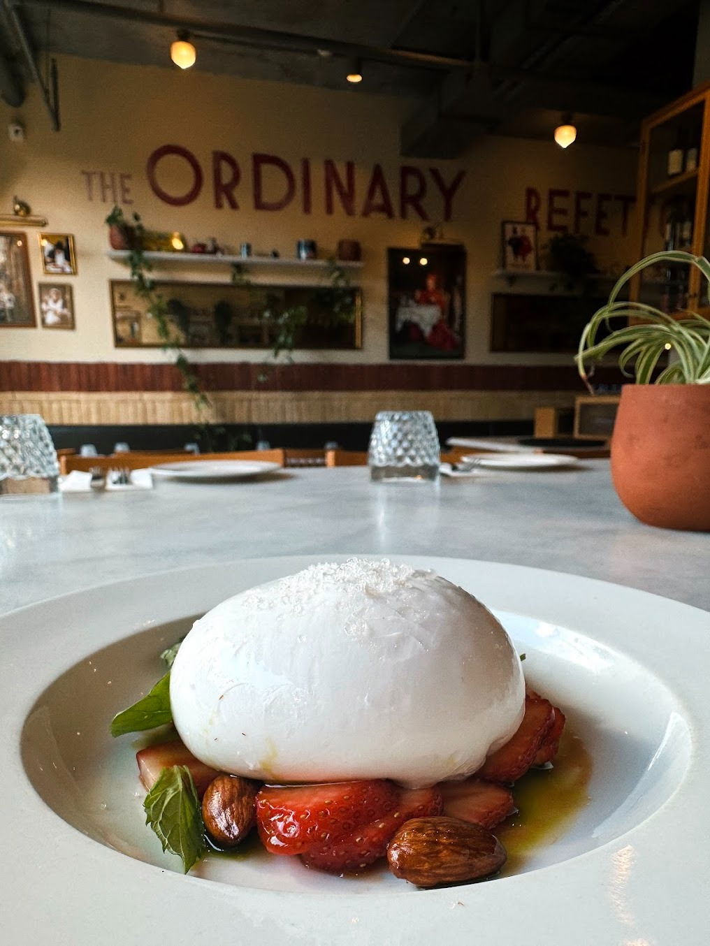 The Ordinary Vadistanbul