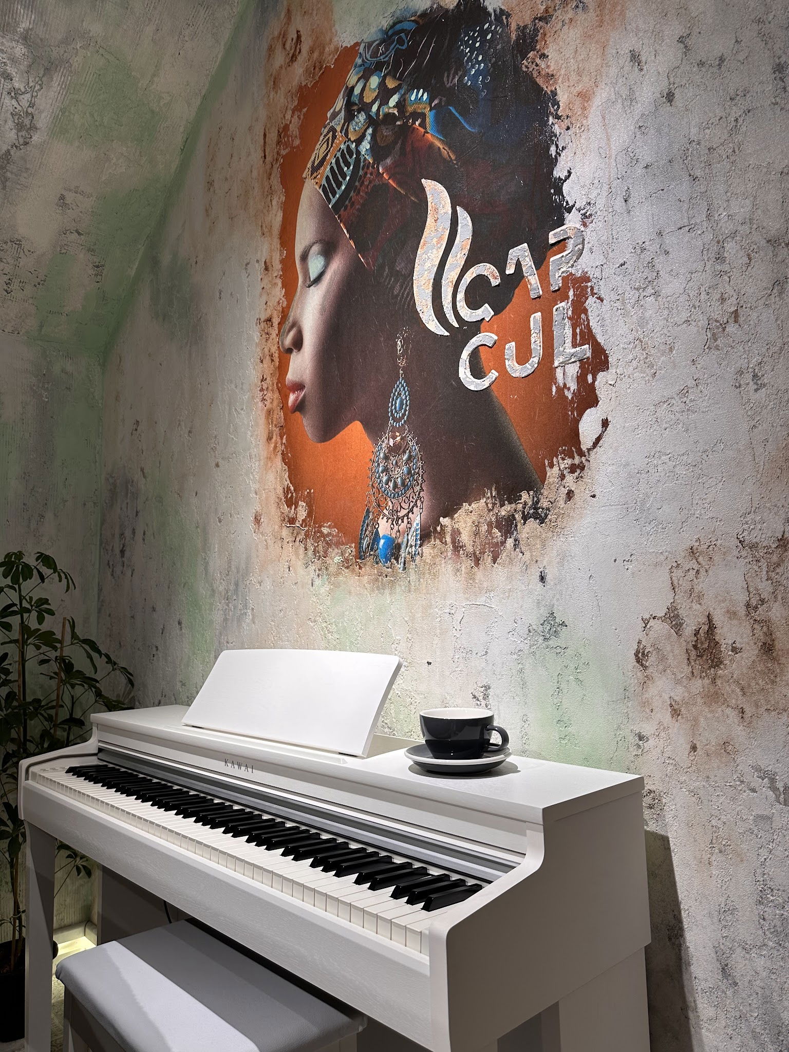 Qapcul Coffee & Roastery