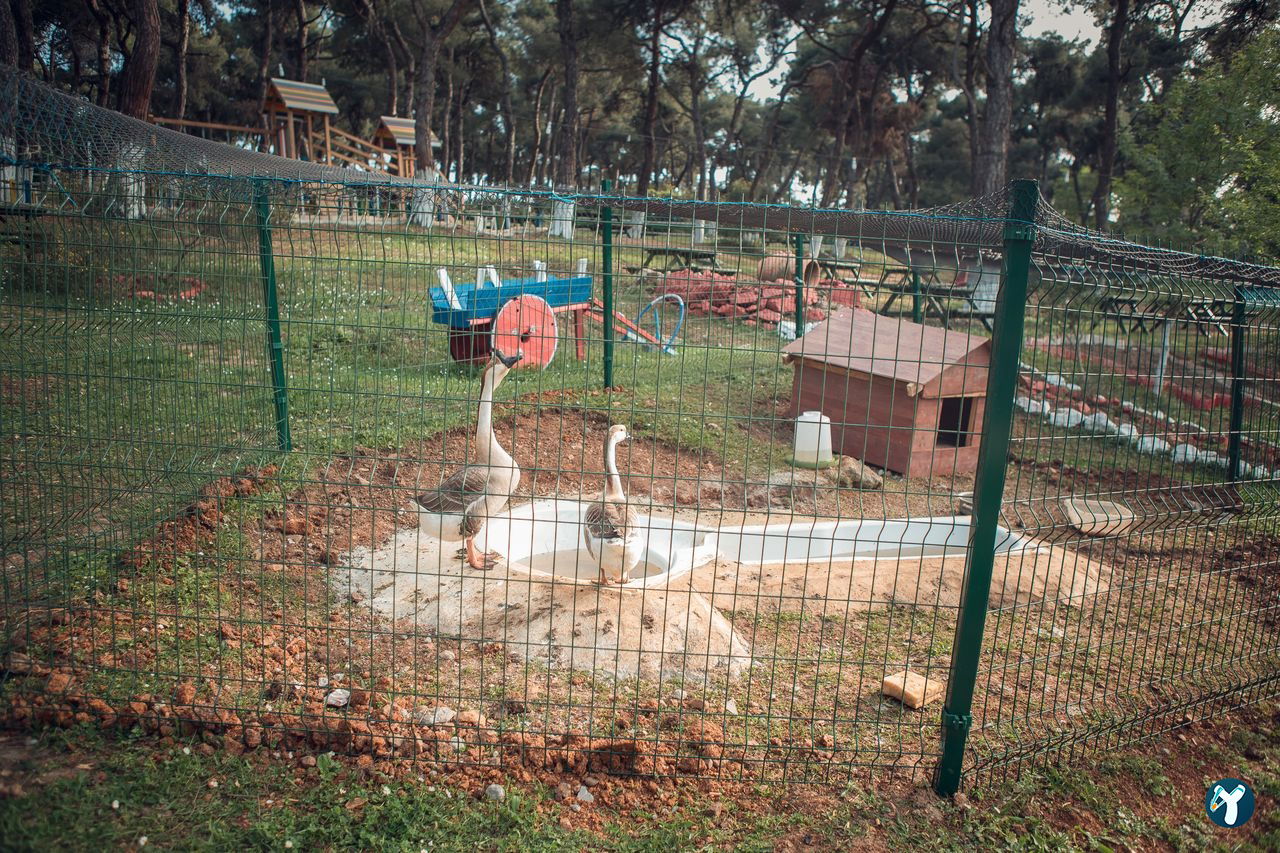 Yörükali Garden
