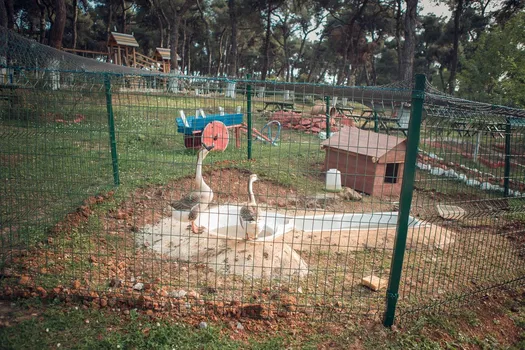 Yörükali Garden resimleri