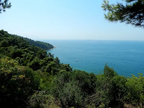 Yörükali Garden resimleri