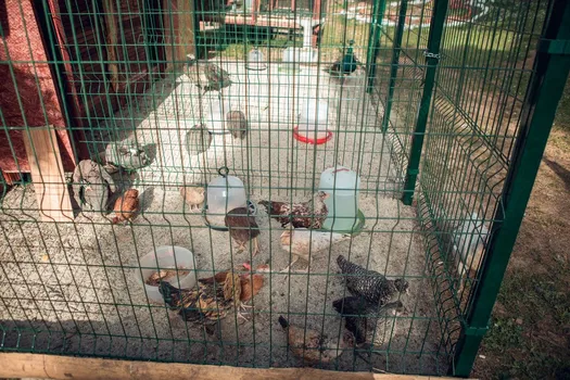 Yörükali Garden resimleri