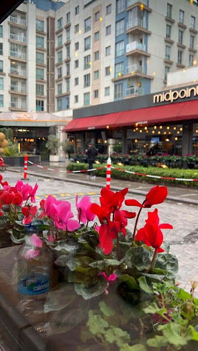 Midpoint Akbatı