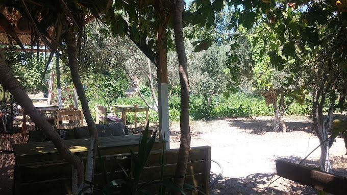 Şeref Usta Lezzetleri