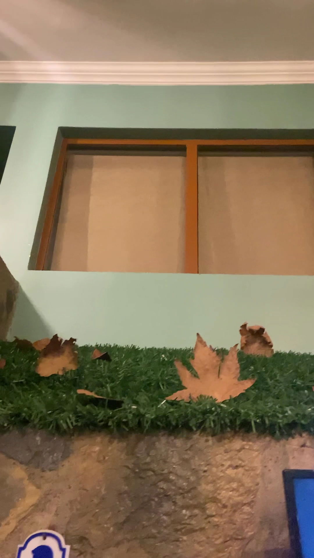 Genç Soydaş Pide&Kebap