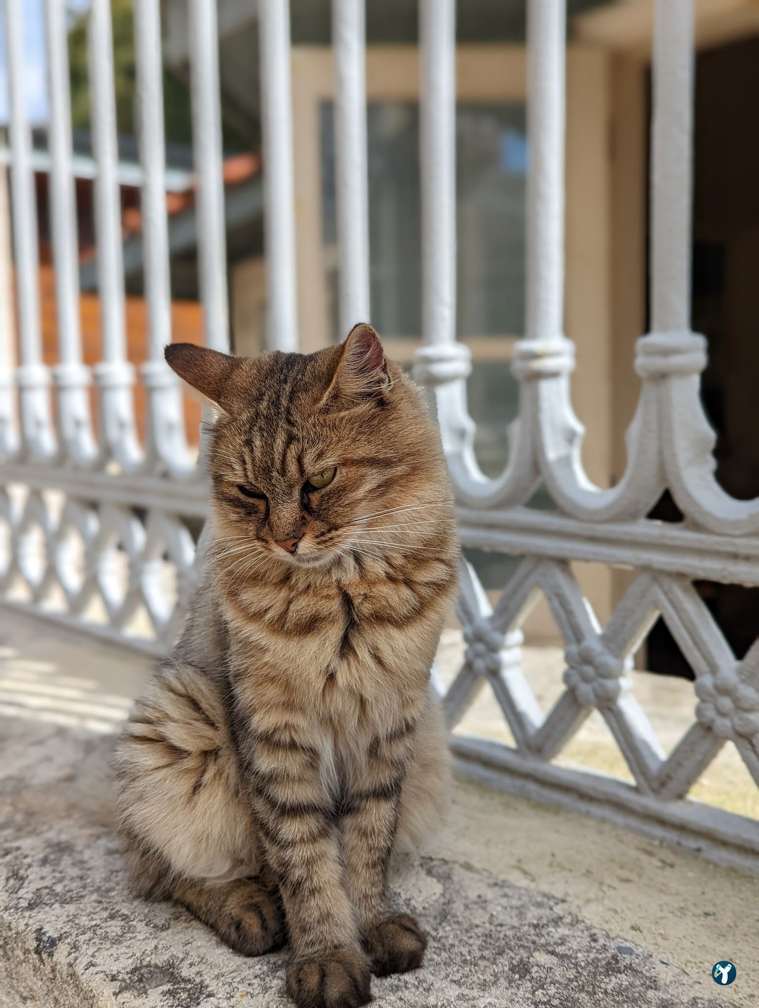 Antik Cafe Gülhane