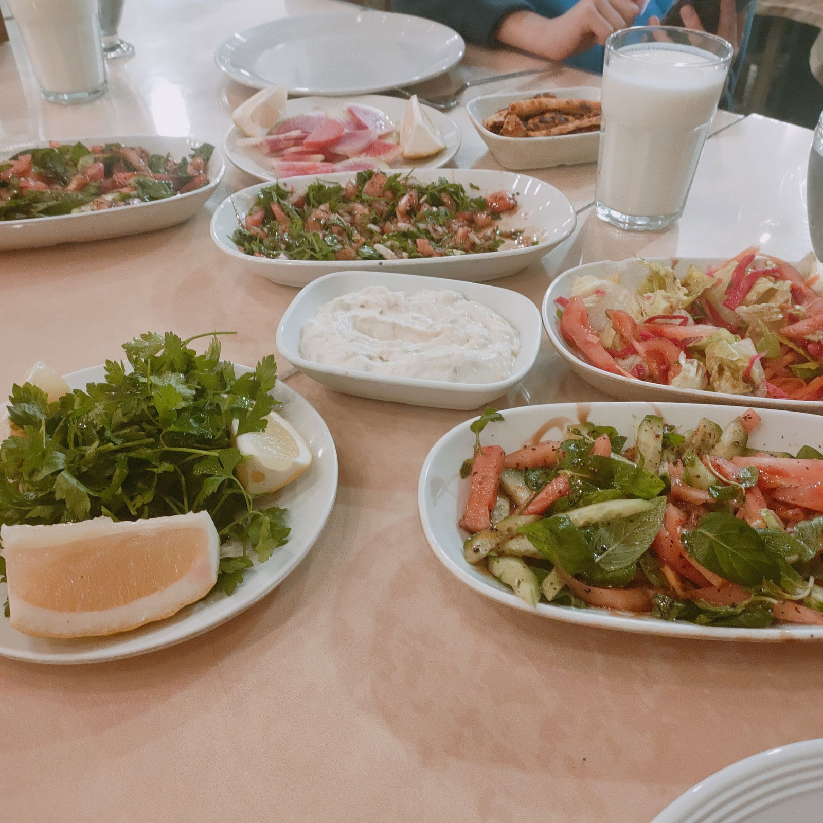 Ceyhan Ocakbaşı Adana