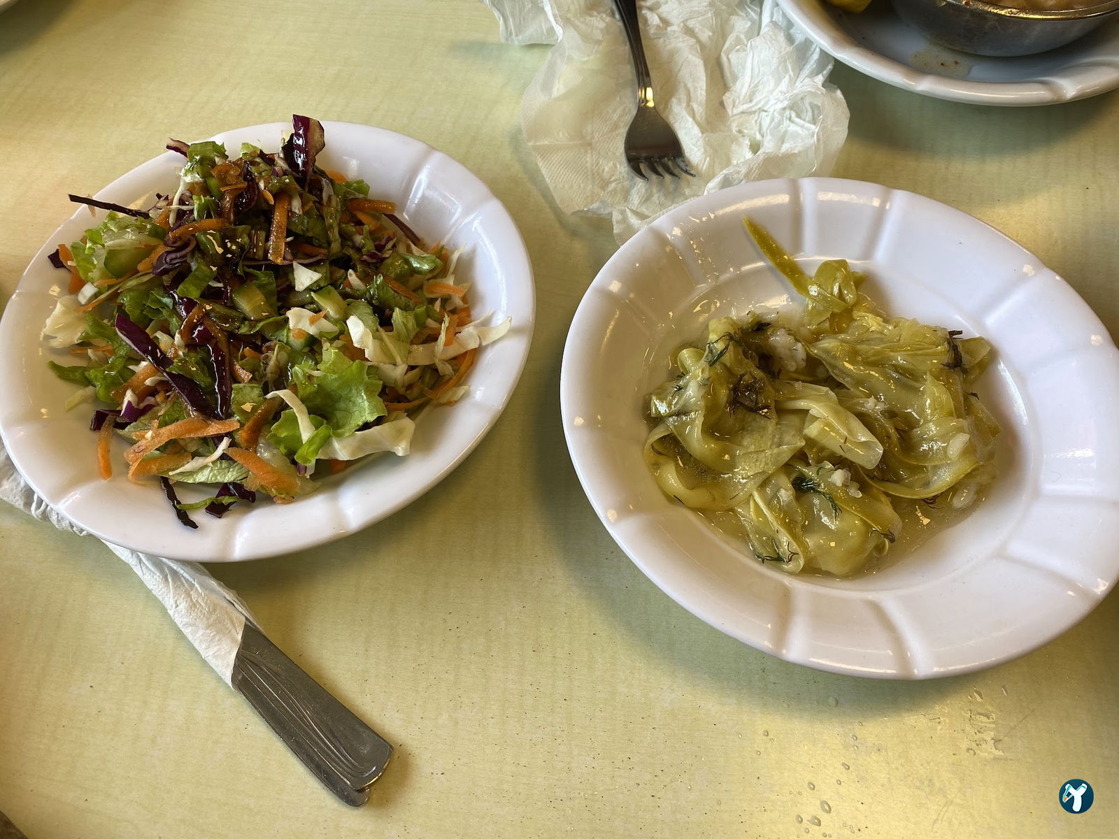 Ulvi Usta Cağ Kebabı