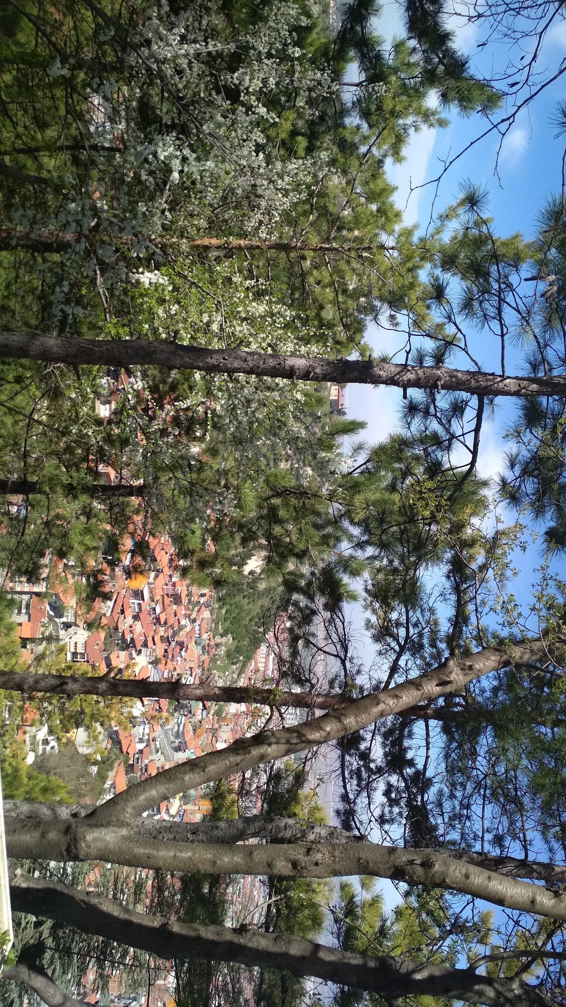 Karavan Gözleme - Sevgiyolu