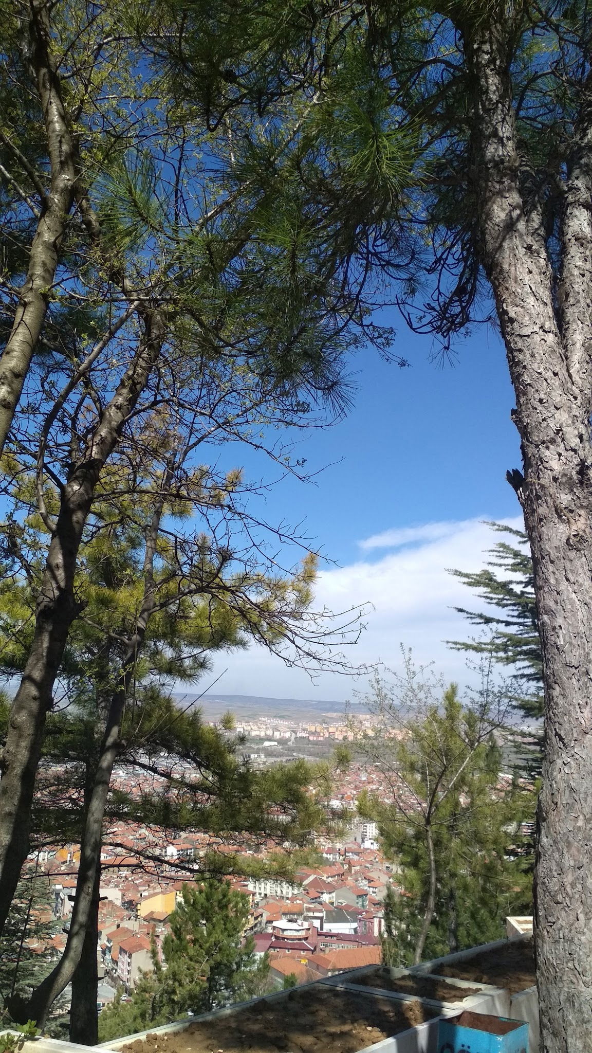 Karavan Gözleme - Sevgiyolu