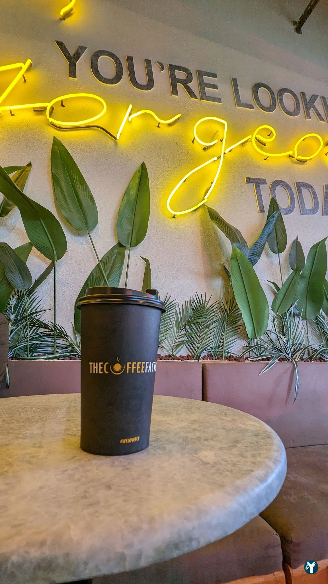 The Coffee Factory