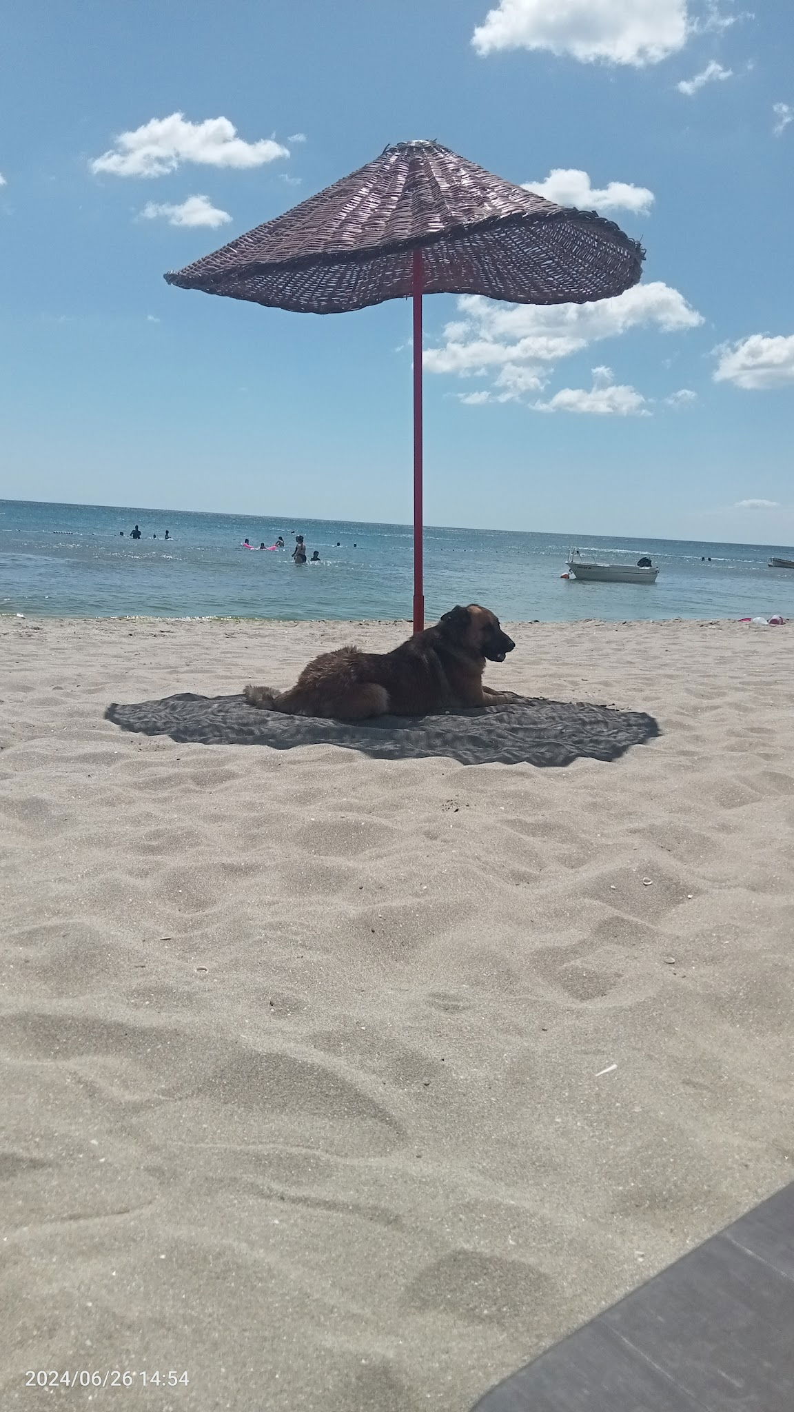 Dostlar Cafe&Restaurant