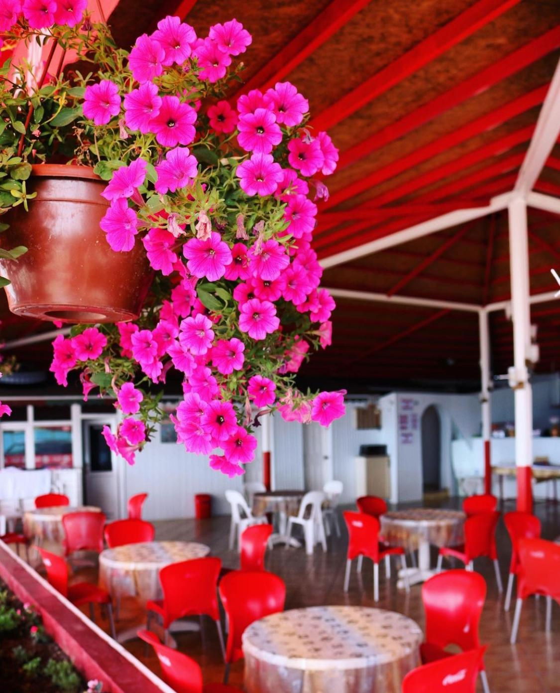 Dostlar Cafe&Restaurant