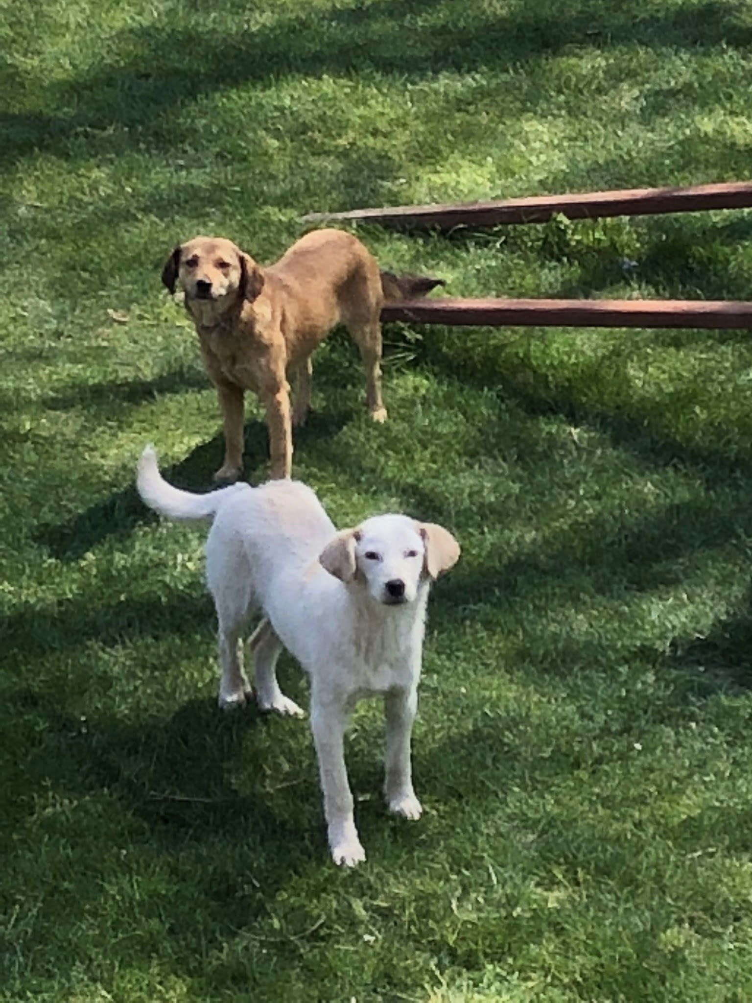 Doğanın Bahçesi Et Ve Kahvaltı Restoranı