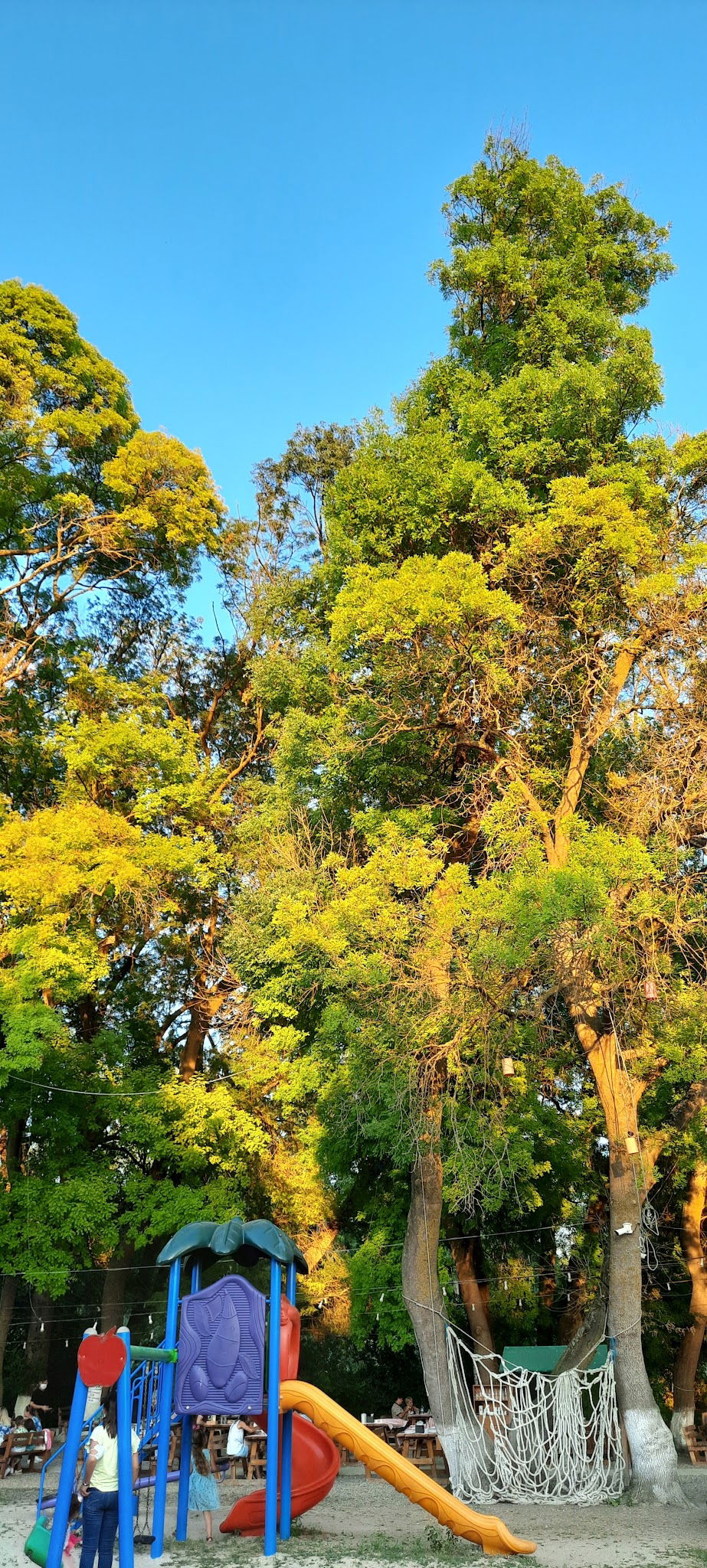 Doğanın Bahçesi Et Ve Kahvaltı Restoranı