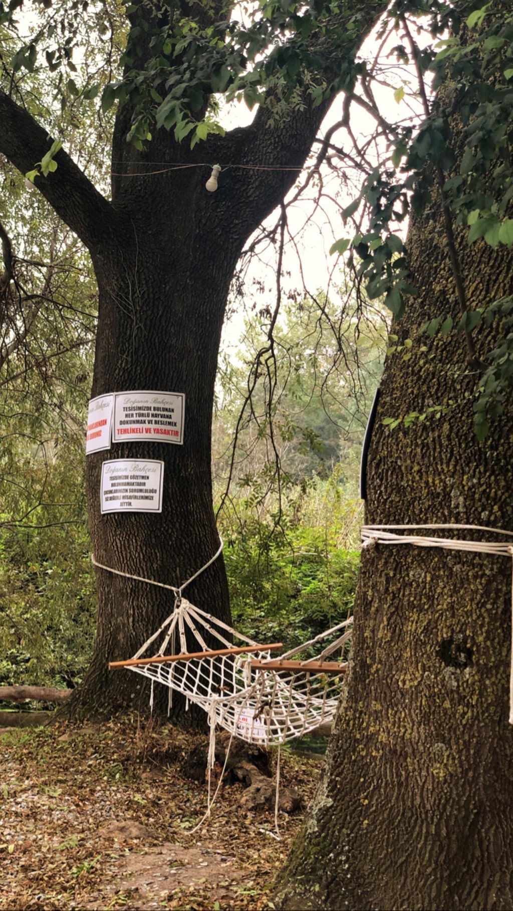 Doğanın Bahçesi Et Ve Kahvaltı Restoranı