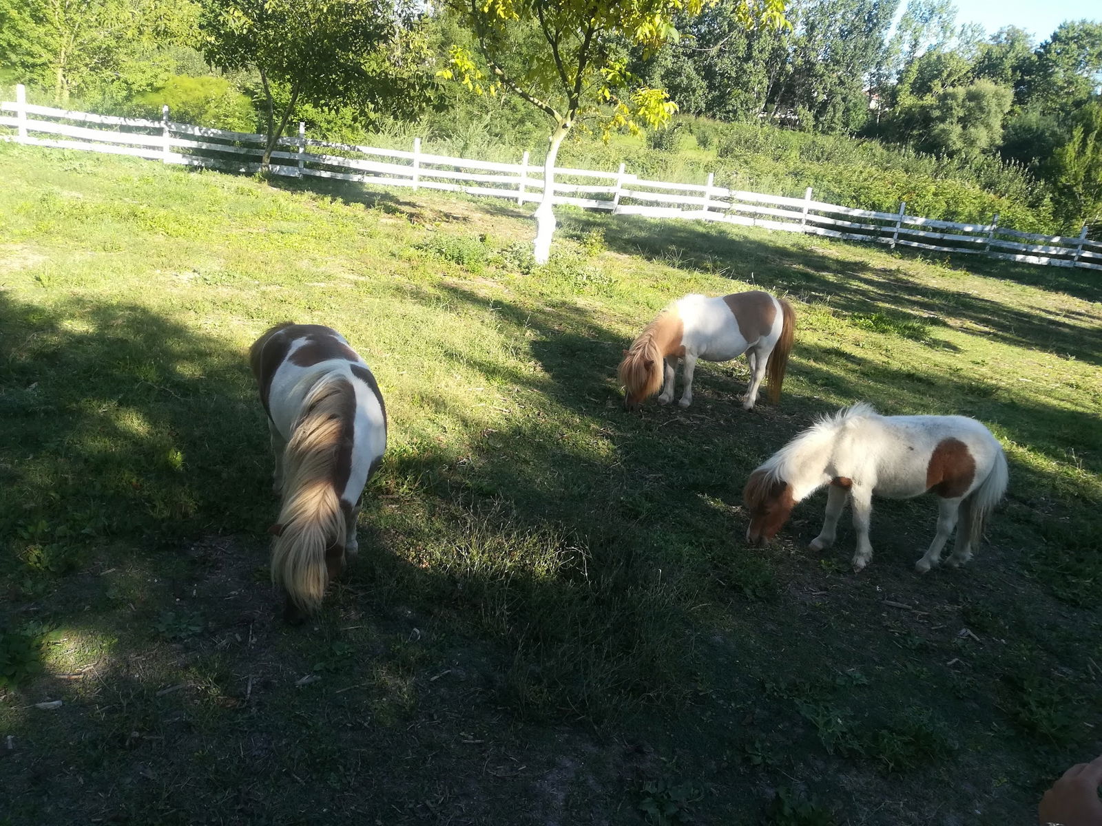 Doğanın Bahçesi Et Ve Kahvaltı Restoranı