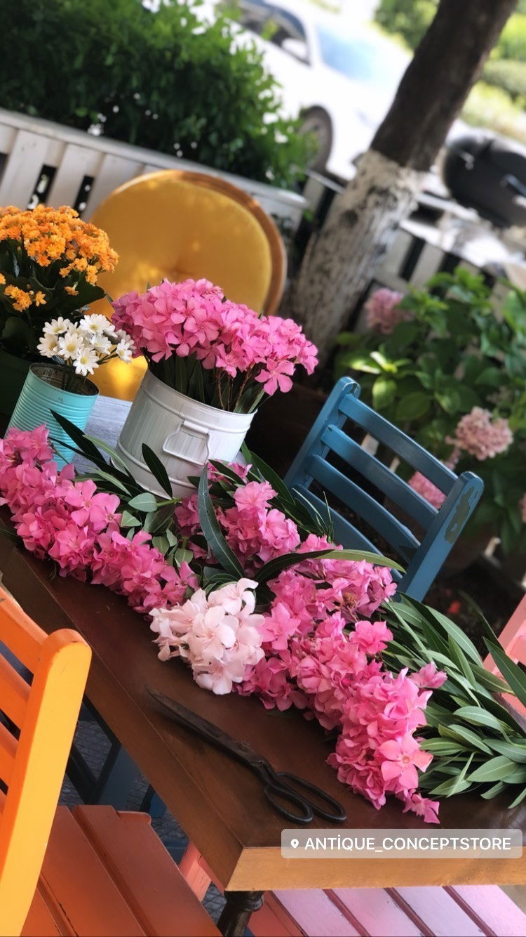 Antıque Conceptstore