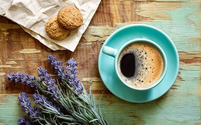 Antıque Conceptstore