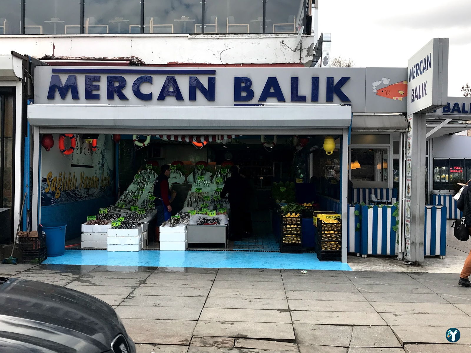 Mercan Balık