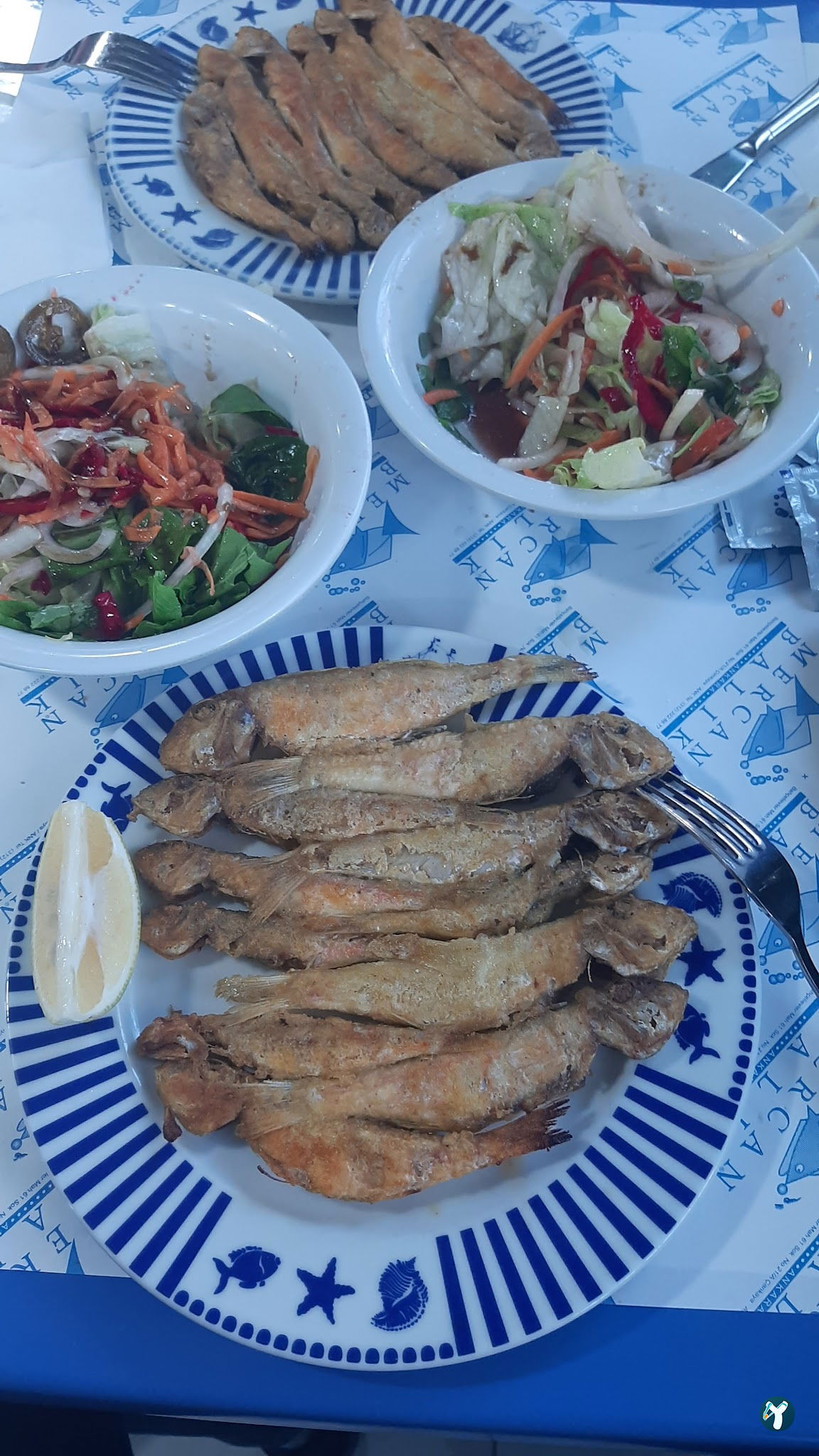 Mercan Balık