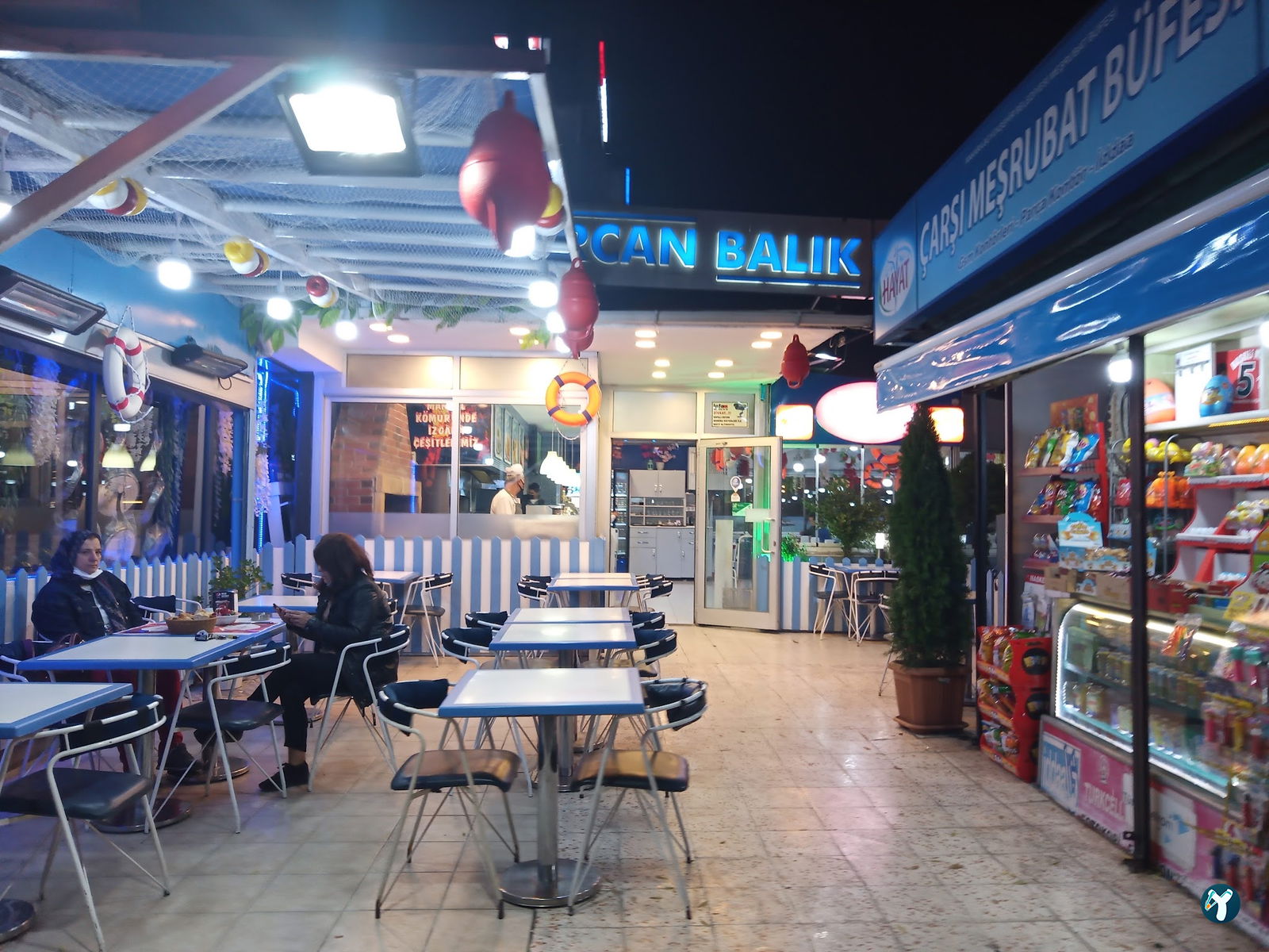 Mercan Balık