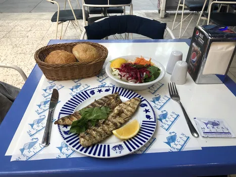 Mercan Balık resimleri