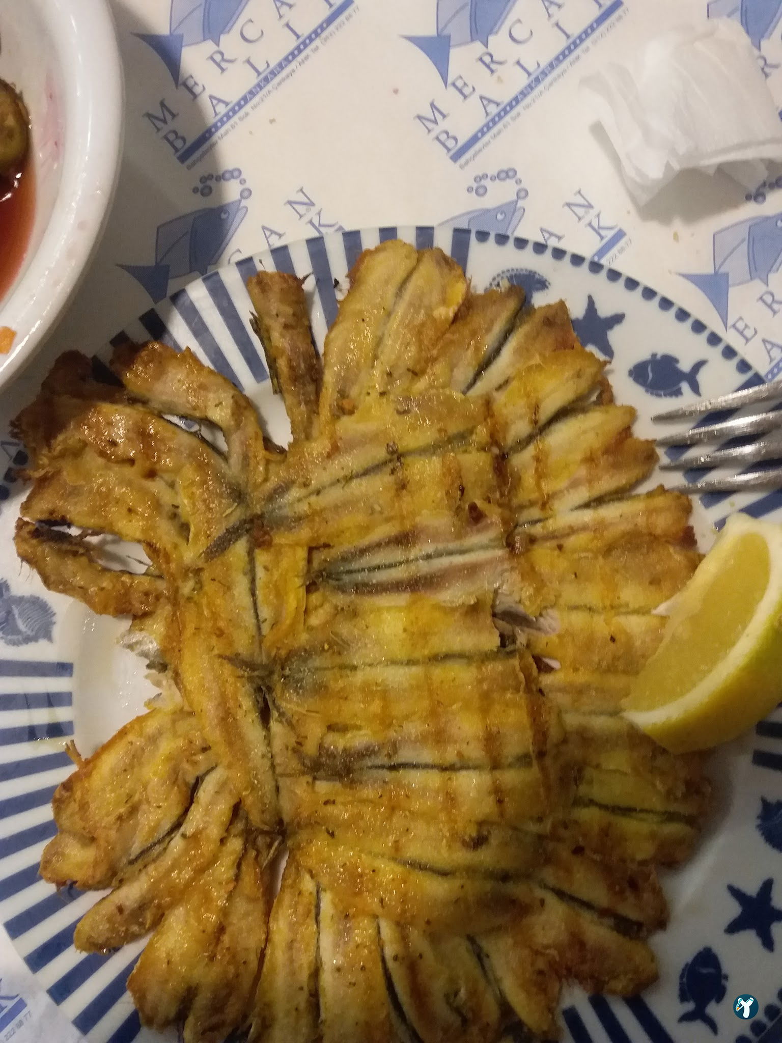 Mercan Balık