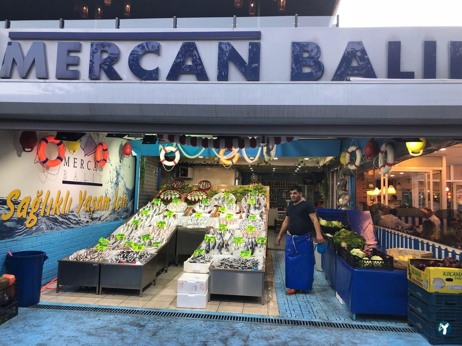 Mercan Balık