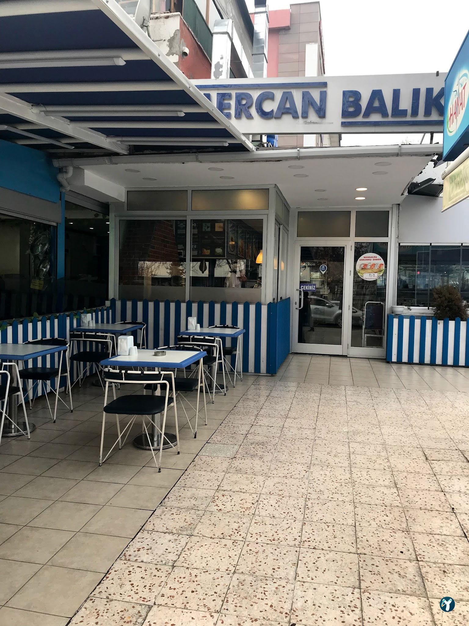 Mercan Balık