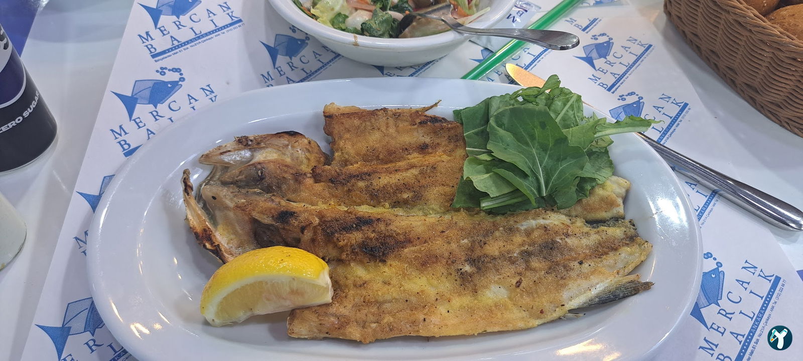 Mercan Balık