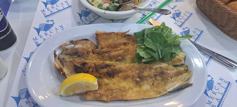 Mercan Balık resimleri